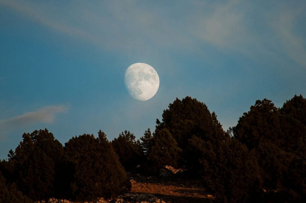 Imagem da Lua cheia sobre árvores escuras ao crepúsculo.