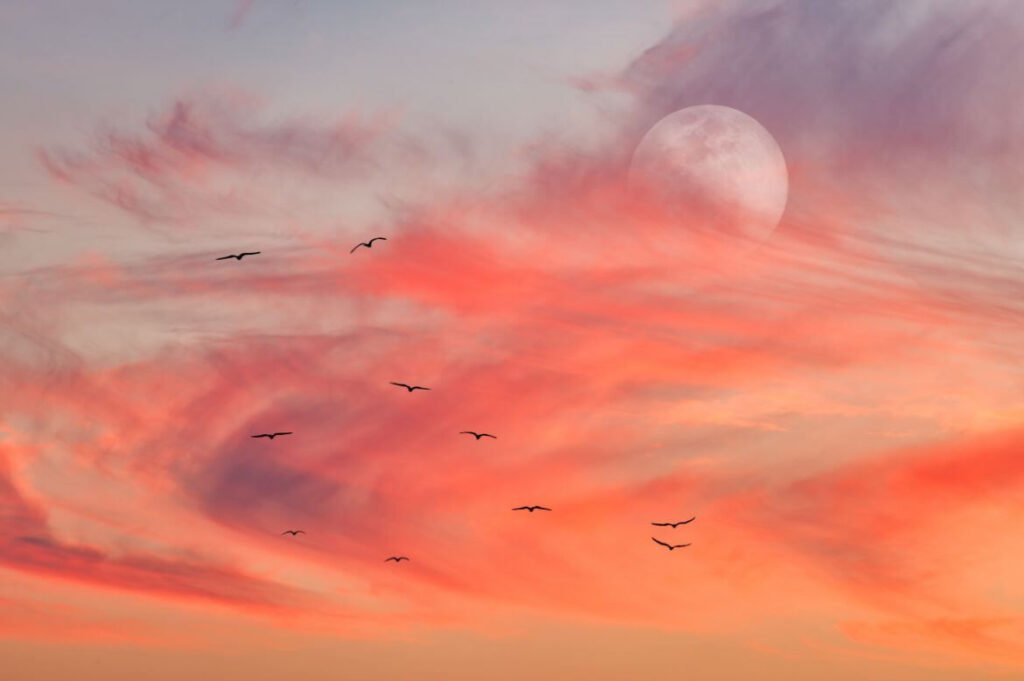 Lua cheia parcialmente visível em um céu de crepúsculo com nuvens tingidas de rosa e laranja, e silhuetas de pássaros voando em formação.