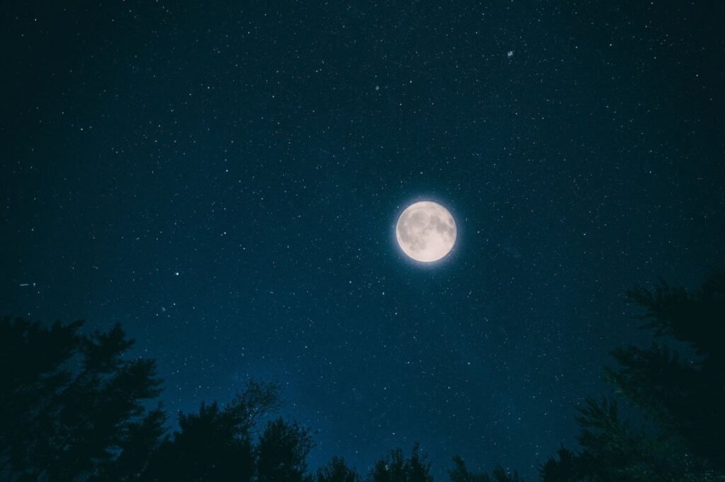 Lua cheia destacando-se no céu noturno estrelado acima de silhuetas de árvores em um cenário tranquilo, perfeito para observação astronômica e contemplação da natureza